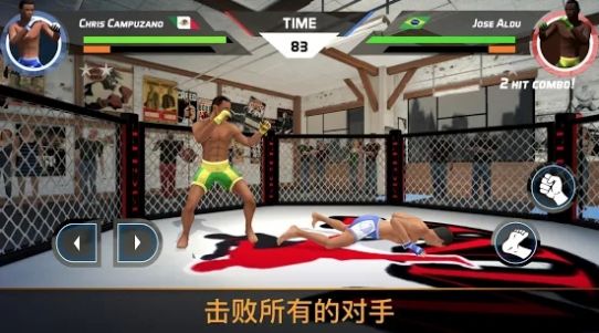 MMA格斗比赛3d