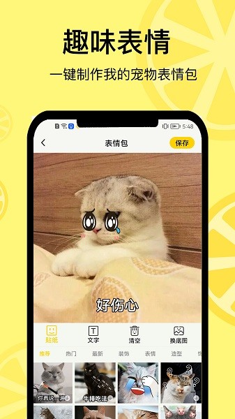 宠日常  v19.0.0图3