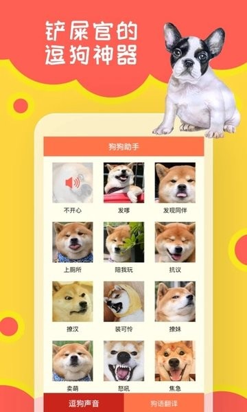 狗狗助手  v1.0.7图2