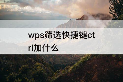 wps筛选快捷键ctrl加什么