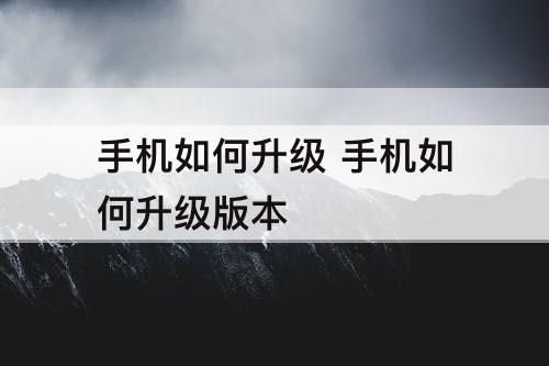 手机如何升级 手机如何升级版本