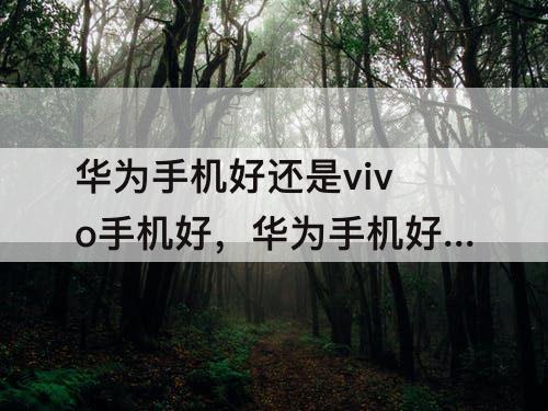 华为手机好还是vivo手机好，华为手机好还是vivo手机好?